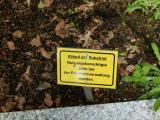 image of grave number 458943